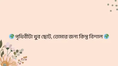 facebook bio style bangla